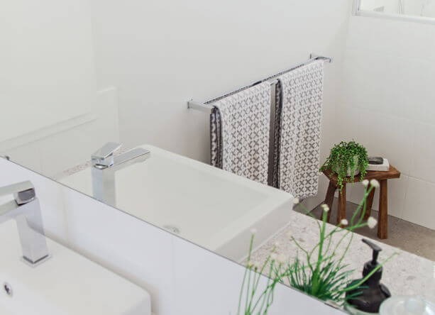 Biophilic Design with Natural Light and Indoor Plants